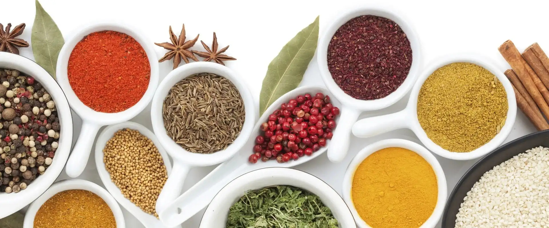 Tastela - The Taste Of Your Choice