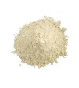 Onion Powder