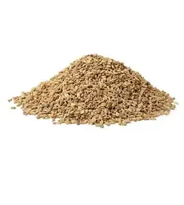 Ajwain Seeds