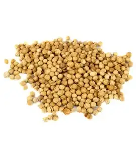 Coriander Seeds