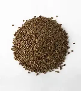 Horse Gram