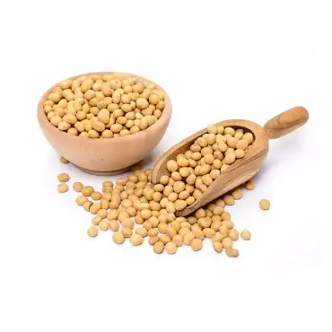 Soyabean