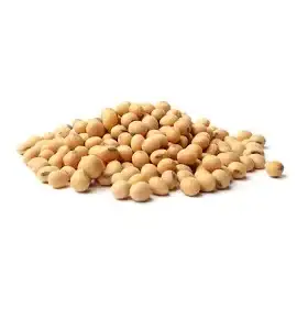 Soya Bean