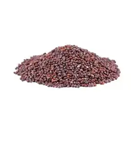 Food image
