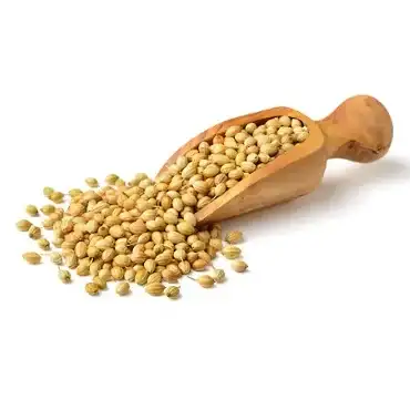 Coriander Seeds