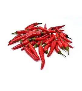 Red Chilli
