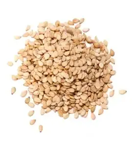 Sesame Seeds