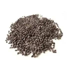 Tukmaria Seed