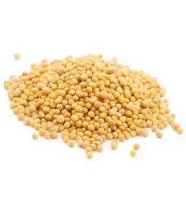 Food image